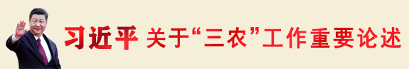 習近平關于“三農”工作重要論述
